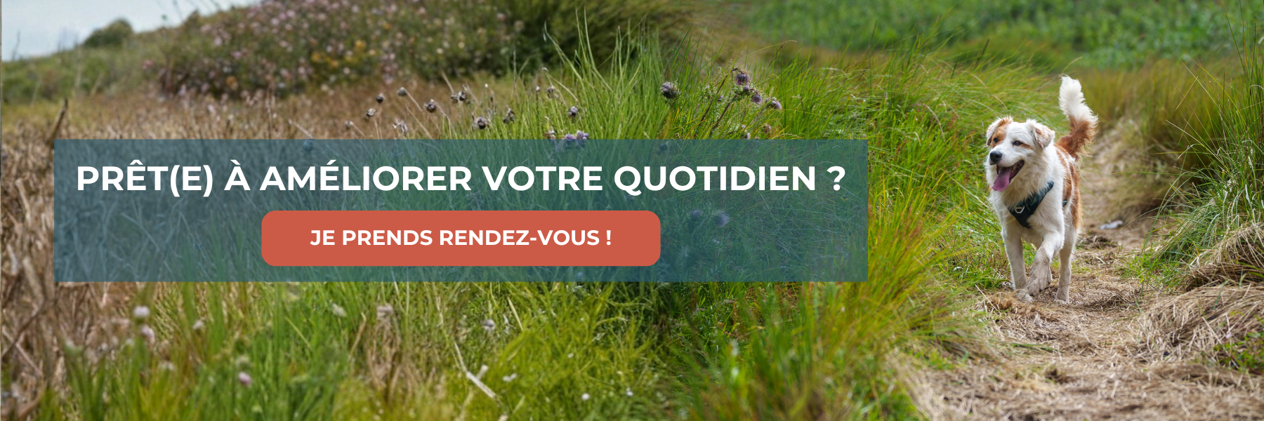 FAire éduquer son chien en isère