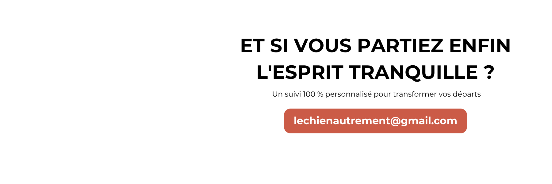comportementaliste canin spécialisé en anxiété de séparation