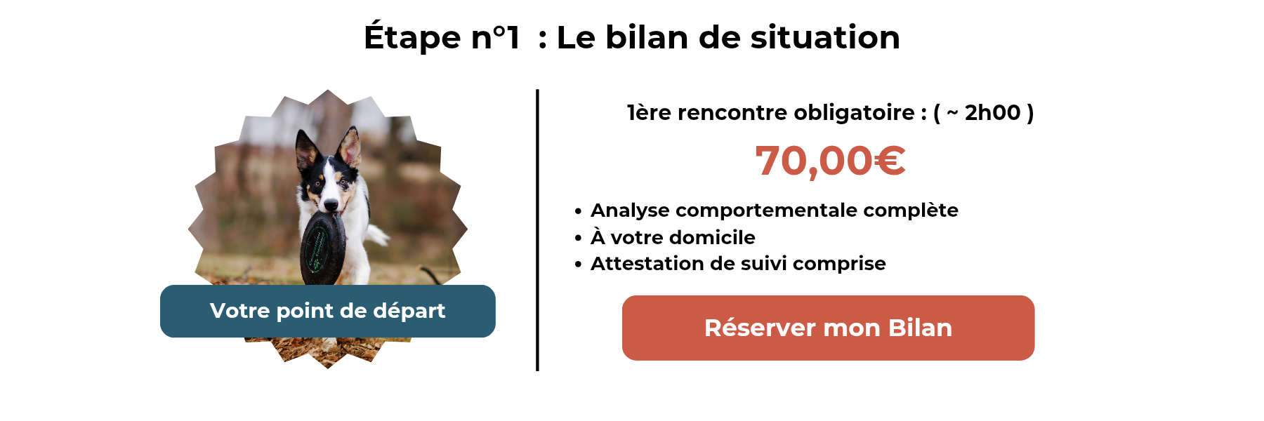 éducatrice canine à domicile