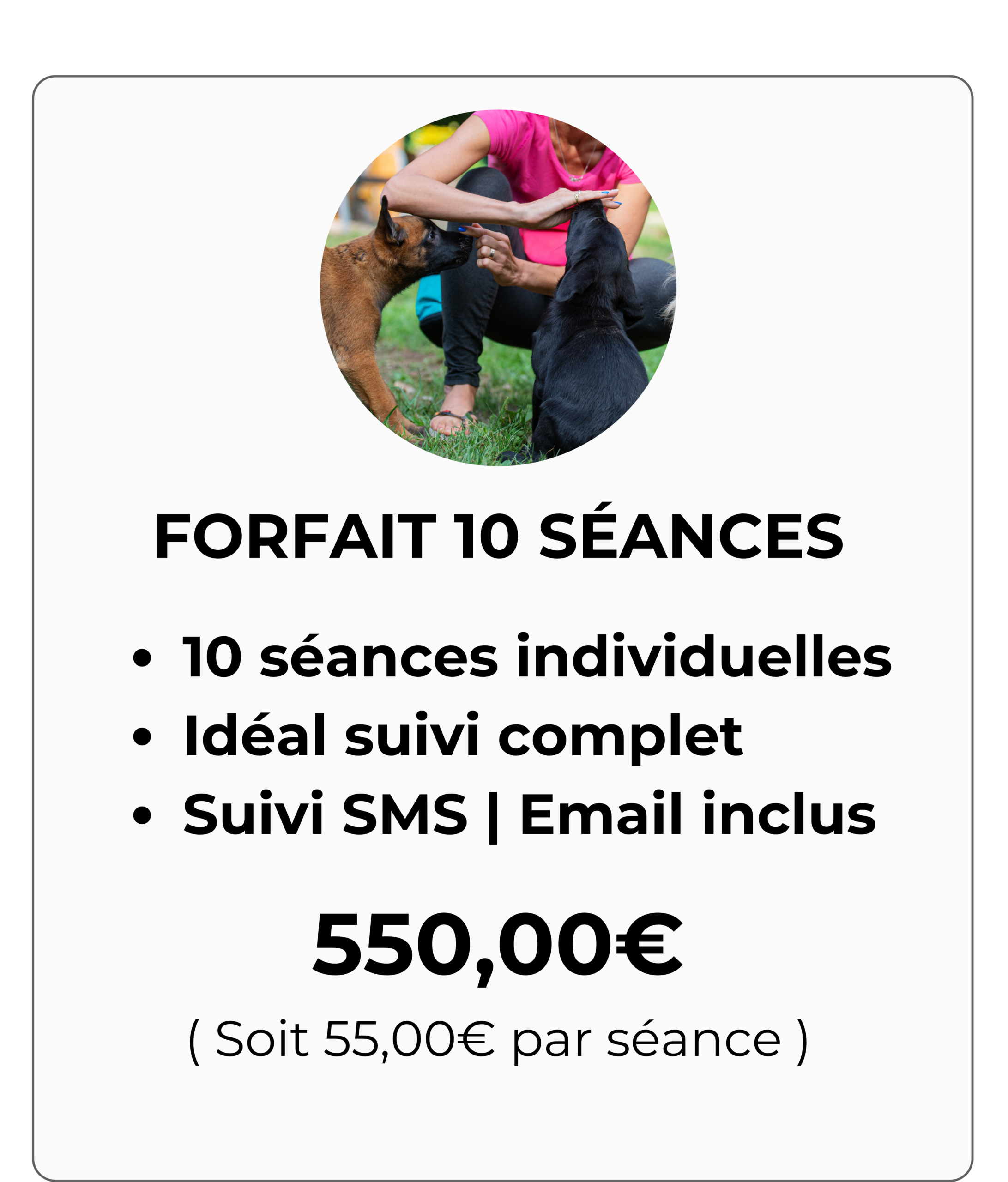cours canin pour chiens autour de moi